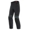 Dainese Carve Master 3 GTX Pants